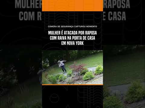 A Regulamentação Jurídica da Exposição de Imagens em Câmeras de Segurança: Um Guia Detalhado