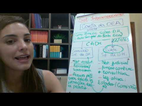 O Papel do Comité dos Direitos Humanos na Proteção dos Direitos Humanos
