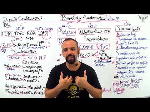 Entendendo as bases do Direito Constitucional e Administrativo no Brasil