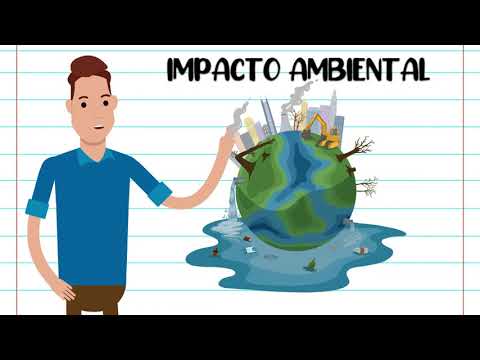 O Impacto das Leis Ambientais: Entenda o que é Proibido