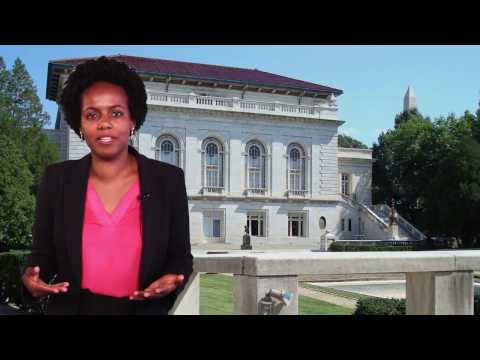 O Papel do Comitê Internacional de Direitos Humanos na Proteção Global dos Direitos Humanos