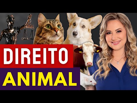 As Leis para Cachorros: Regulamentações e Direitos em Destaque