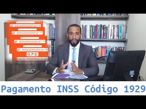 Entendendo o código 41 do INSS: benefícios e requisitos