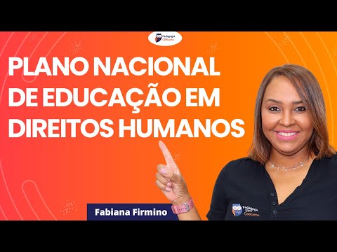 Análise Completa: O que podemos concluir sobre os direitos humanos?