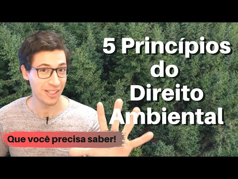 A Importância do Meio Ambiente como Direito Fundamental: Um Olhar Jurídico