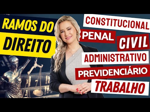 A Interligação entre o Direito Constitucional e os Outros Ramos Jurídicos