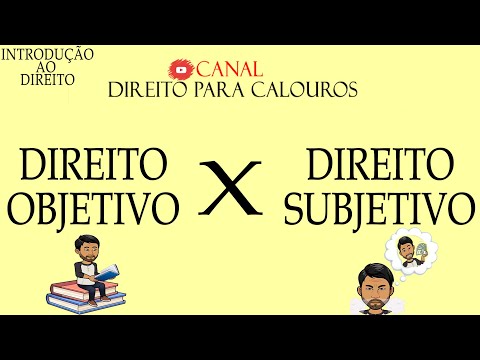 Objetivo e Subjetivo no Direito Administrativo: Compreendendo as Diferenças Essenciais