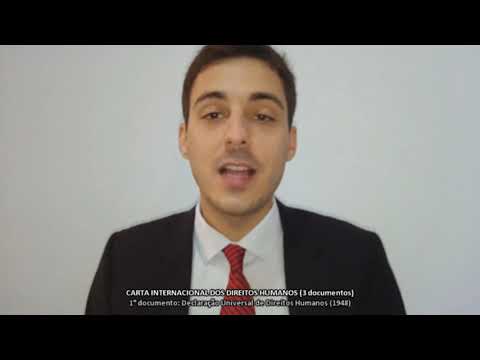 O papel do Conselho de Segurança da ONU na proteção global dos direitos humanos