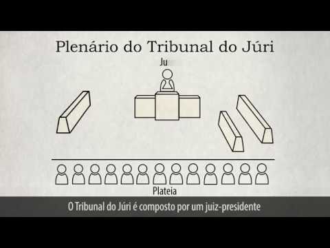 O Papel do Juiz: Orientações para o Processo de Julgamento
