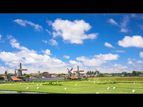 Obtendo a Cidadania Holandesa: Requisitos e Processo