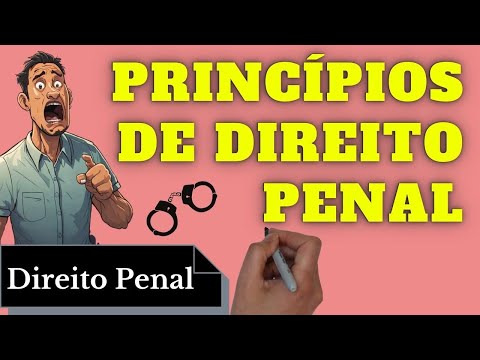 Compreendendo os Princípios e Normas: Um Guia Informativo