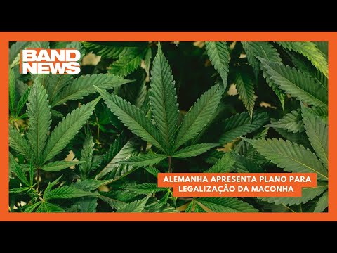 Guia Completo: Processo de Legalização na Alemanha
