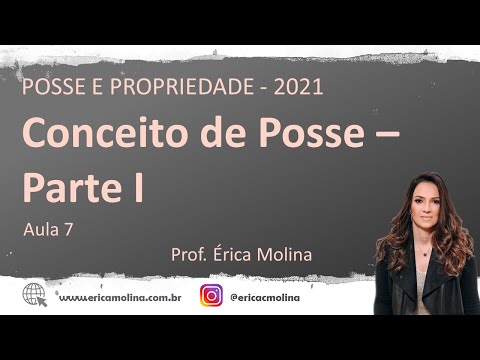 Entendendo os fundamentos e requisitos para a garantia da posse