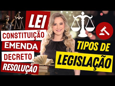 A Composição das Leis: Entenda os Responsáveis pelo Processo Legislativo