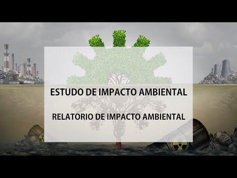 Aprovação do RIMA: Entenda as Instâncias Responsáveis pelo Processo