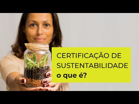 Certificação de Madeira: Um Guia Completo para Garantir a Qualidade e Sustentabilidade