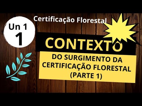 Certificação FSC: Conheça as Entidades Responsáveis pela Certificação Florestal