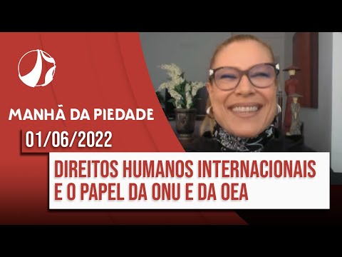 O que a ONU garante: uma visão abrangente dos direitos e responsabilidades internacionais