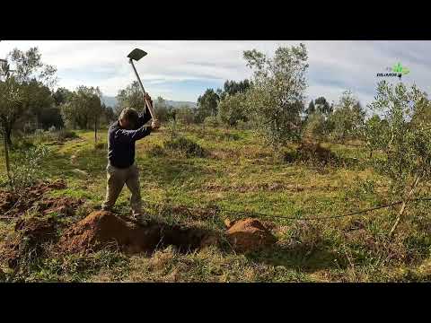 Esladroamento: um guia completo sobre o conceito, características e aplicação legal.