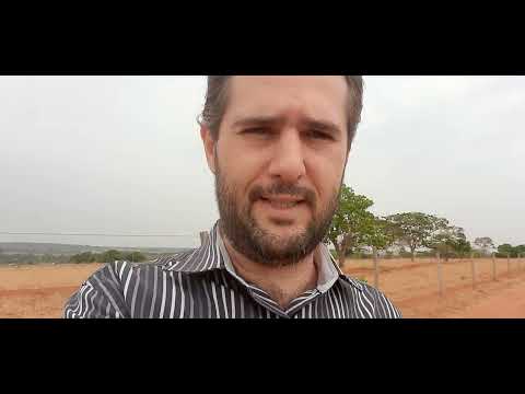 Autoridades competentes e indivíduos envolvidos: quem tem o direito de solicitar perícia?