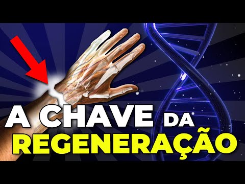 Explorando os conceitos legais de regeneração e suas implicações