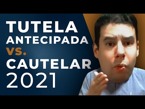 Entenda o processo de atribuição da tutela legal e sua importância
