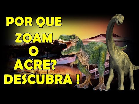 Acre: Significado, Origem e Contexto