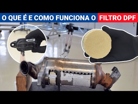 Dicas práticas e legais: como remover o DPF corretamente