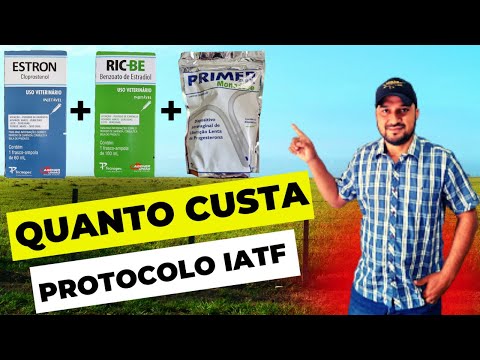 Guia completo: Melhor momento para realizar a Inseminação Artificial em Tempo Fixo (IATF)