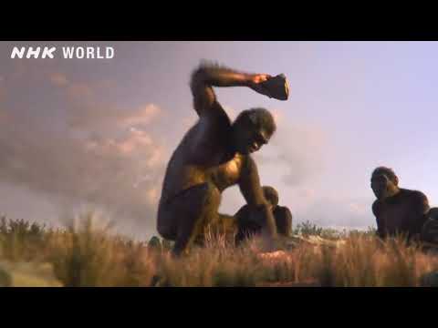 A evolução contínua da Nike: Descubra as inovações que estão revolucionando o mercado