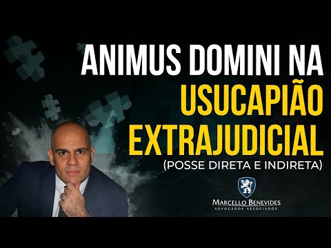 Entenda o conceito de 'animus domini' e sua importância no direito brasileiro