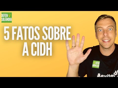 O Papel da Comissão Interamericana de Direitos Humanos (CIDH): Uma Análise Detalhada