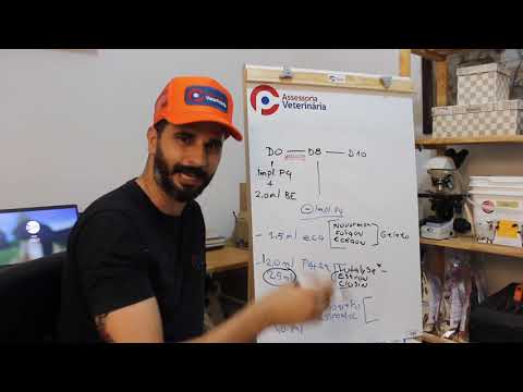 Entenda o funcionamento e a importância do sistema IATF no setor automotivo