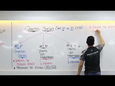 Conheça os Seis Direitos Fundamentais: Guia Completo e Informativo