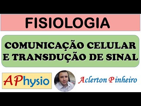 Principais fatores que interferem no sinal de comunicação