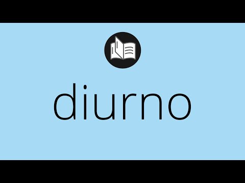 Horário Diurno: Conceito, Definição e Significado