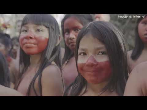 O Papel da OIT na Defesa dos Direitos Trabalhistas: Uma Análise Detalhada