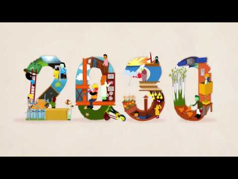 O Papel e as Decisões da ONU: Entenda o Impacto Global de Suas Resoluções