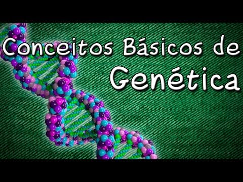 A compreensão do Conceito de Traço Fenótipo: Explicação Detalhada e Clara