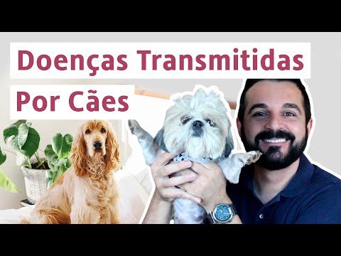 Entendendo as principais irritações caninas: descubra o que pode incomodar seus cães