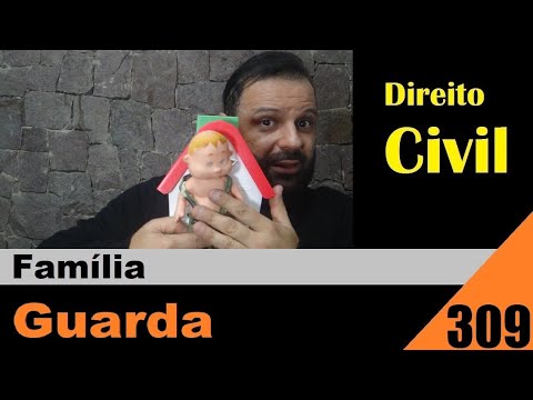 Guia completo sobre a guarda judicial: definição, direitos e responsabilidades