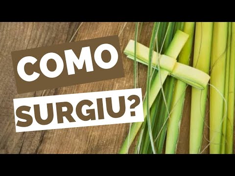 Orientações sobre o uso dos ramos no sistema jurídico brasileiro