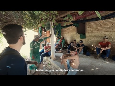 Como participar da OIT: Guia completo para se envolver com a Organização Internacional do Trabalho