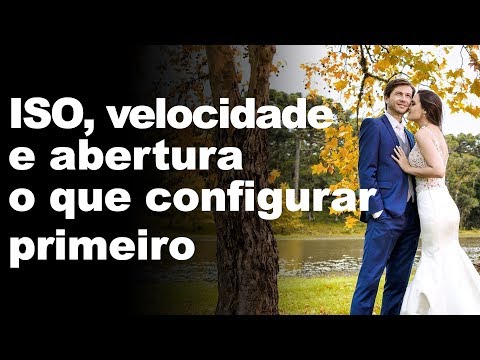 Entenda o Conceito de STM na Canon e seu Impacto na Fotografia