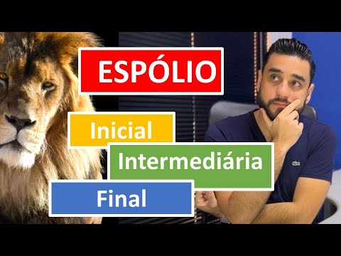 Comprovação do Espólio: Guia completo para documentação legal e procedimentos formais.