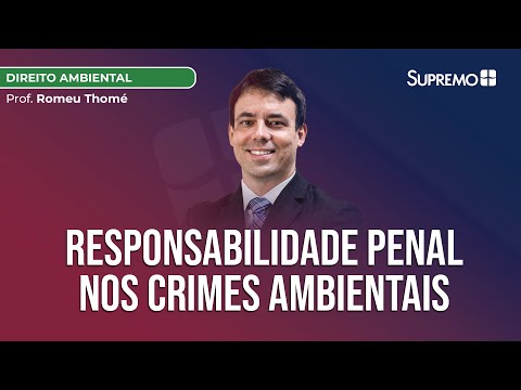Responsabilidade Penal: Entenda as Leis que Regem a Criação de Crimes