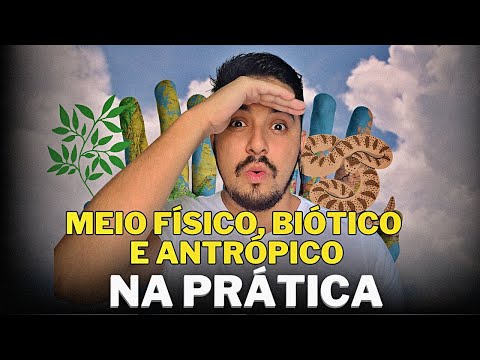 O Guia Completo para a Elaboração do EIA-RIMA: Tudo o que você precisa saber.