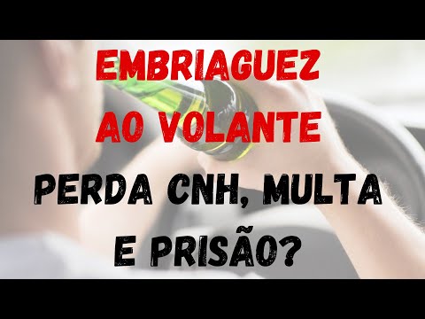 Punições e Consequências: O Que Está em Risco ao Perder a Habilitação de Motorista
