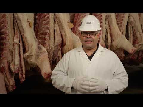 O cálculo de média: uma ferramenta essencial para análise e avaliação.