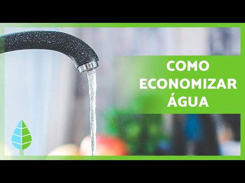 Dicas legais para economizar na conta de água: conheça estratégias inteligentes